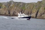 Wild Swimming on Lundy