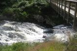 Water of Trool – Glen trool – Galloway Forest Park