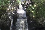 Wood of Cree – Newton Stewart Wood of Cree – Newton Stewart