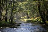Double Waters, river Walkham and Tavy Double Waters, river Walkham and Tavy