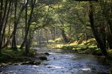 Double Waters, river Walkham and Tavy