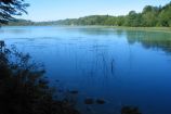 Swimming in the Jura