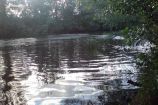 Island Picnic site Usk