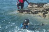 Coasteering on Anglesey