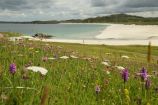 Traigh Na Beirigh ( Reef Beach ) Traigh Na Beirigh ( Reef Beach )