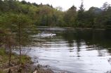 Llyn-y-parc Llyn-y-parc