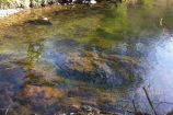 Hafod Hafod