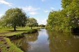 Grantchester Minnows Grantchester Minnows