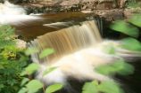 Stainforth Force Stainforth Force