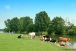 Port Meadow, Thames Port Meadow, Thames