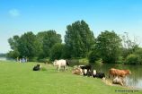 Port Meadow, Thames