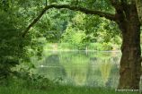 Hampstead Ponds Hampstead Ponds