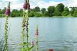 Colemere and Ellesmere Colemere and Ellesmere