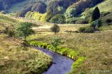 Cow Castle, Barle Cow Castle, Barle