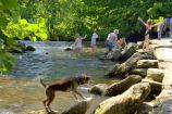 Tarr Steps, Barle