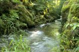 Long Pool, Watersmeet Long Pool, Watersmeet
