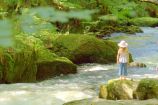 Golitha Falls Golitha Falls