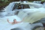 Salmon Leaps, Teign Salmon Leaps, Teign