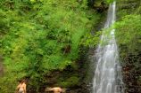Falling Foss Falling Foss