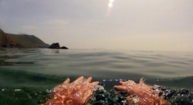 Wild Swimming Micro Adventures – the best wild swims in Britain Wild Swimming Micro Adventures – the best wild swims in Britain