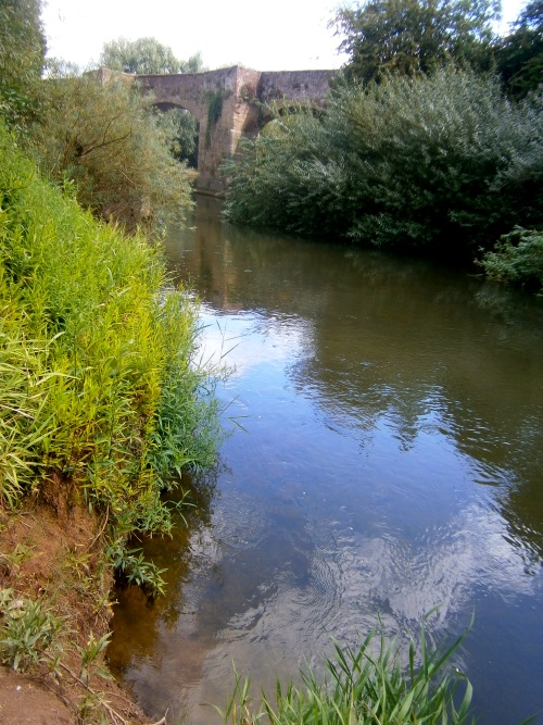 powick_bridge_view2_2308144