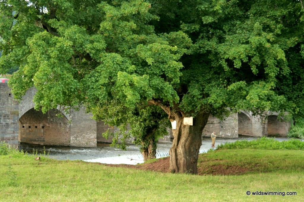 Crickhowell, Usk