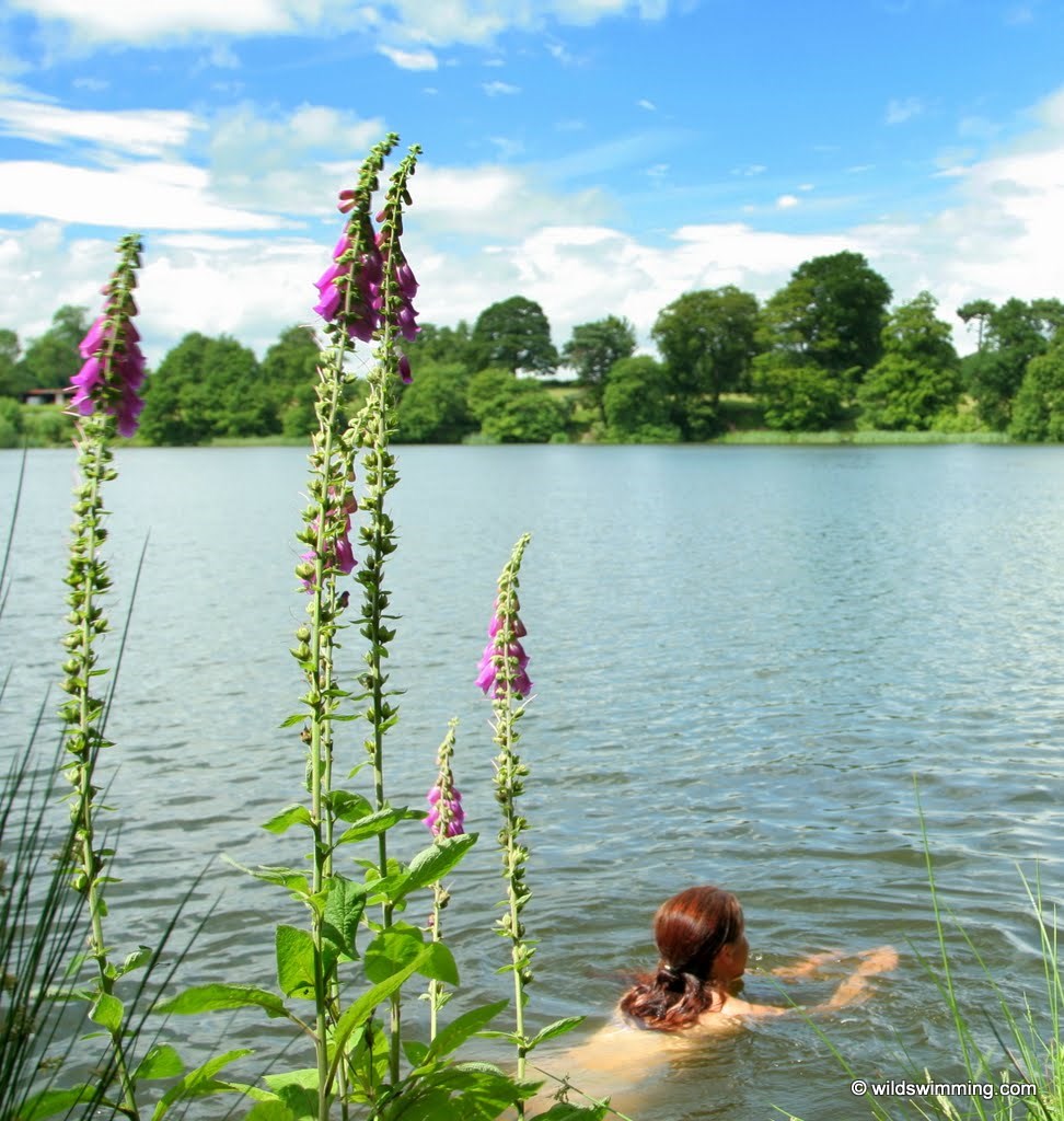 Colemere and Ellesmere