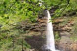 Hardraw Force