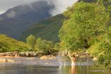 Higher Glen Etive