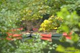 Symonds Yat