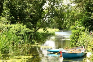 wild swimming