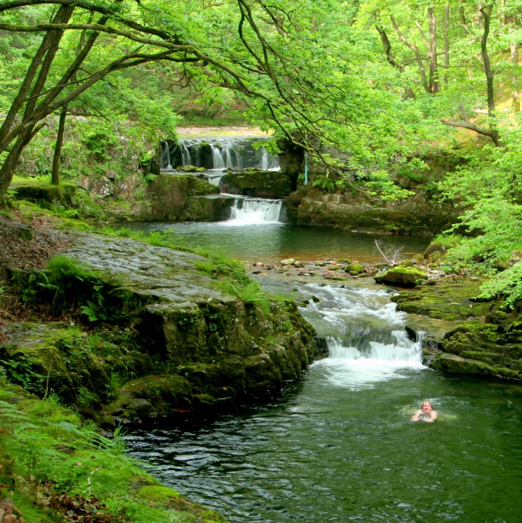 Wild Swimming in the Waterfall Woods