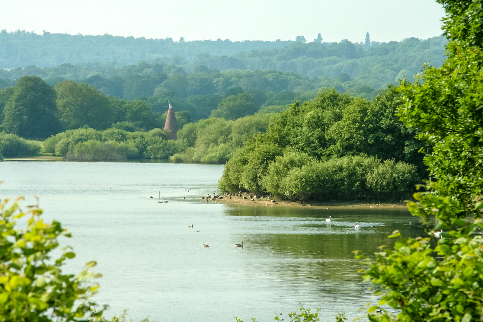 Bewl Water reservoir swimming