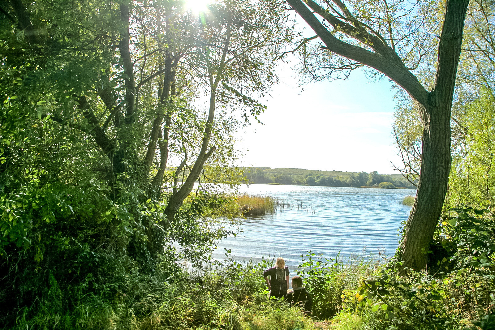 Kent wild swimming Westbere Marshes