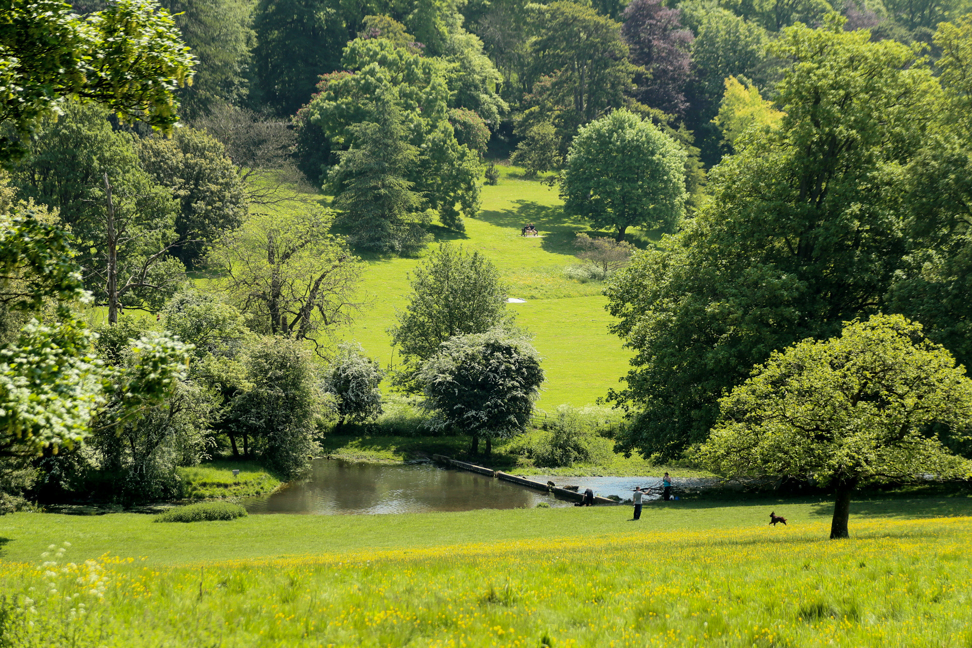 wild swimming buckinghamshire