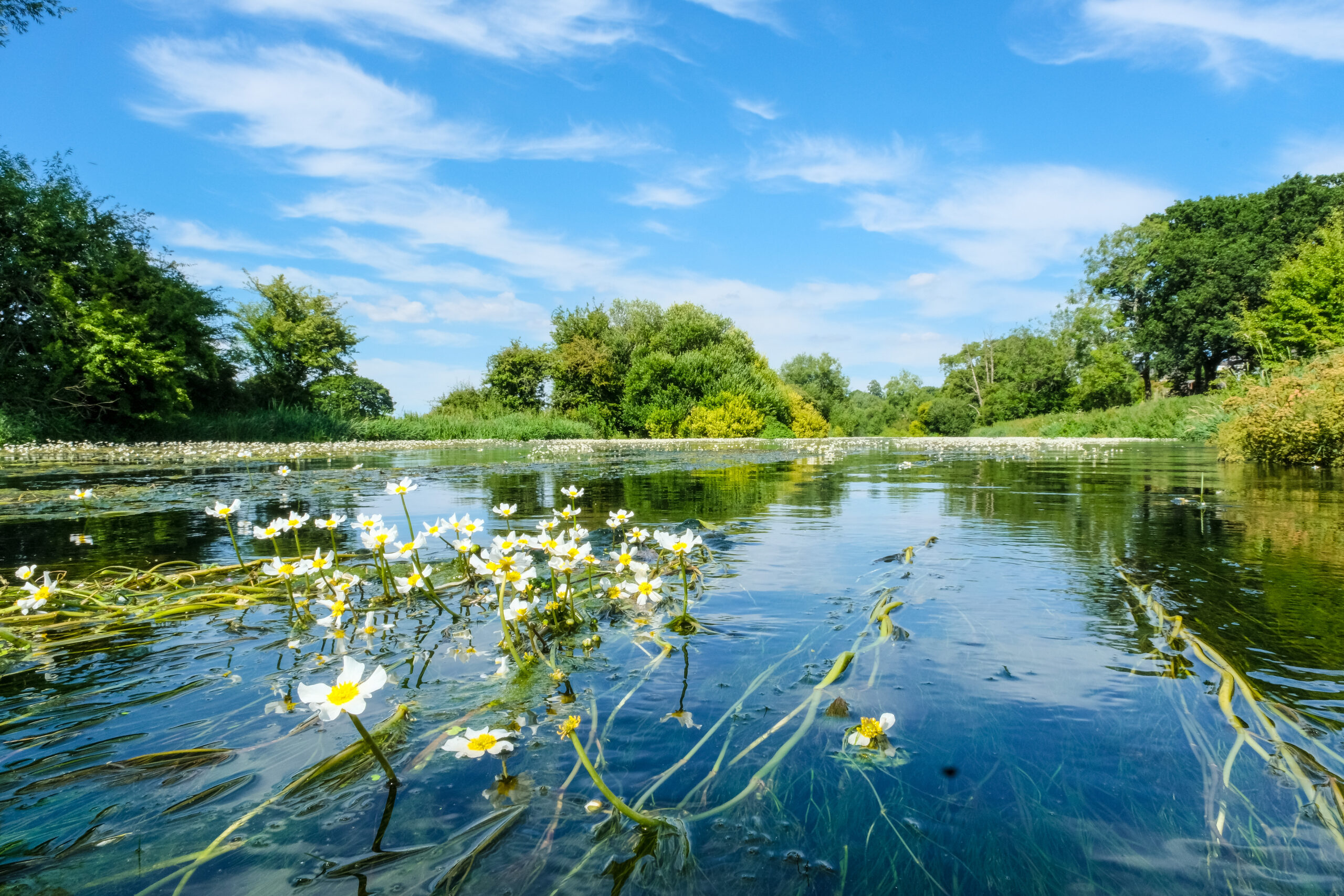 wild swimming hampshire