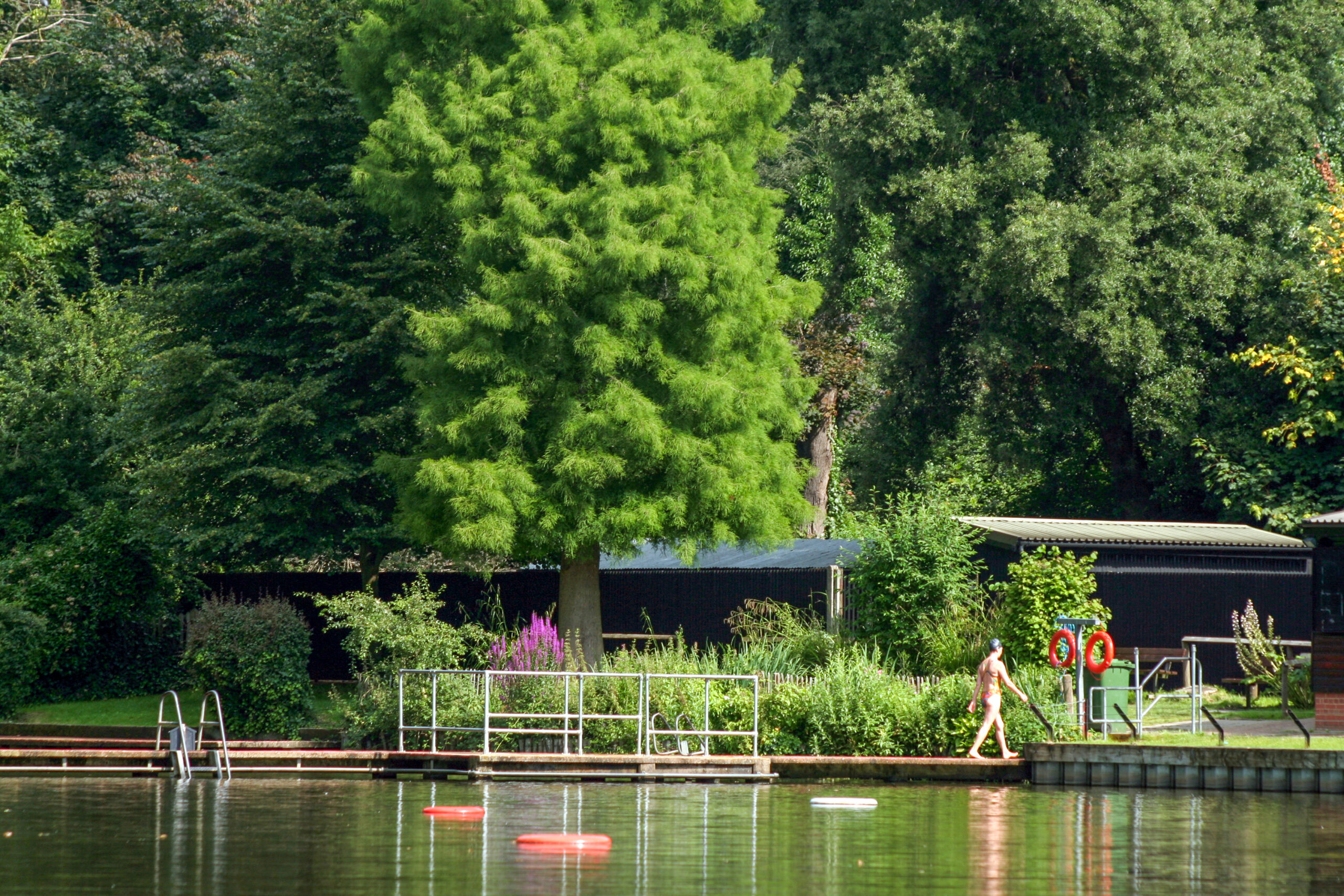 hampstead heath ponds
