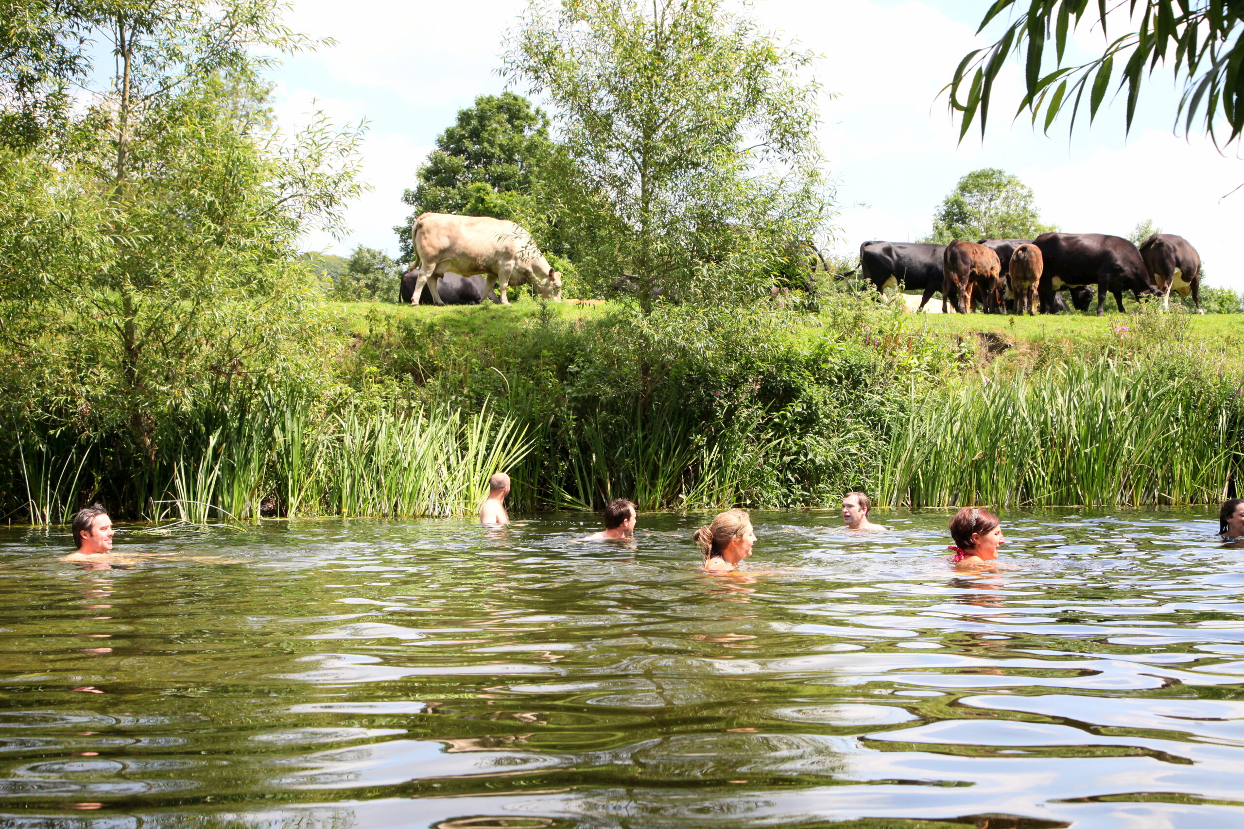 wild swimming near oxford