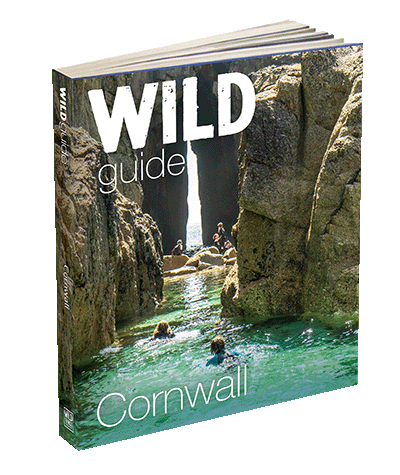 wild guide cornwall