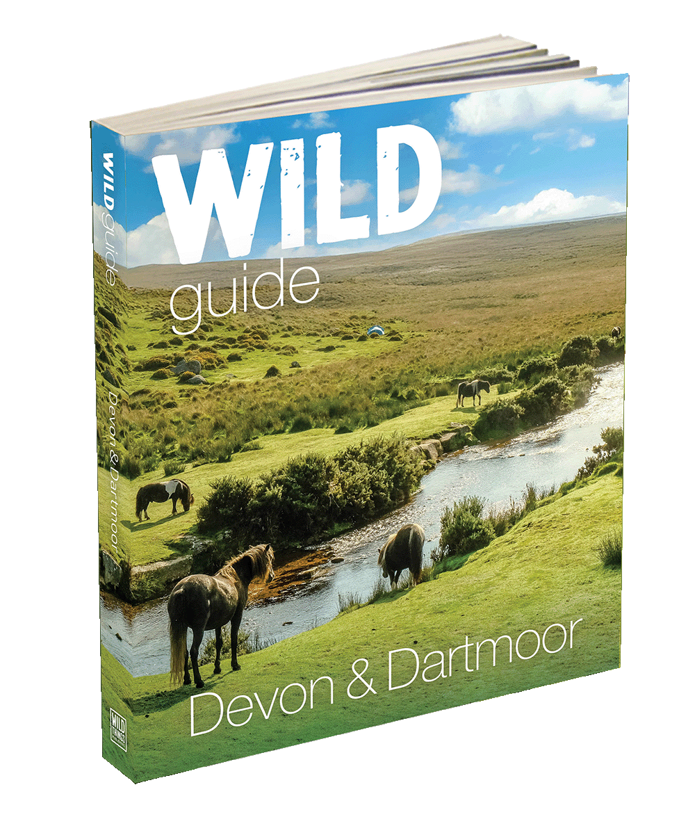 Wild Guide to Devon and Dartmoor