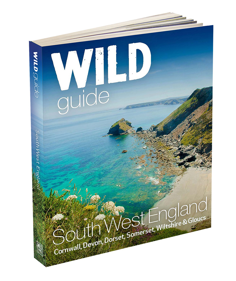 Wild Guide South West