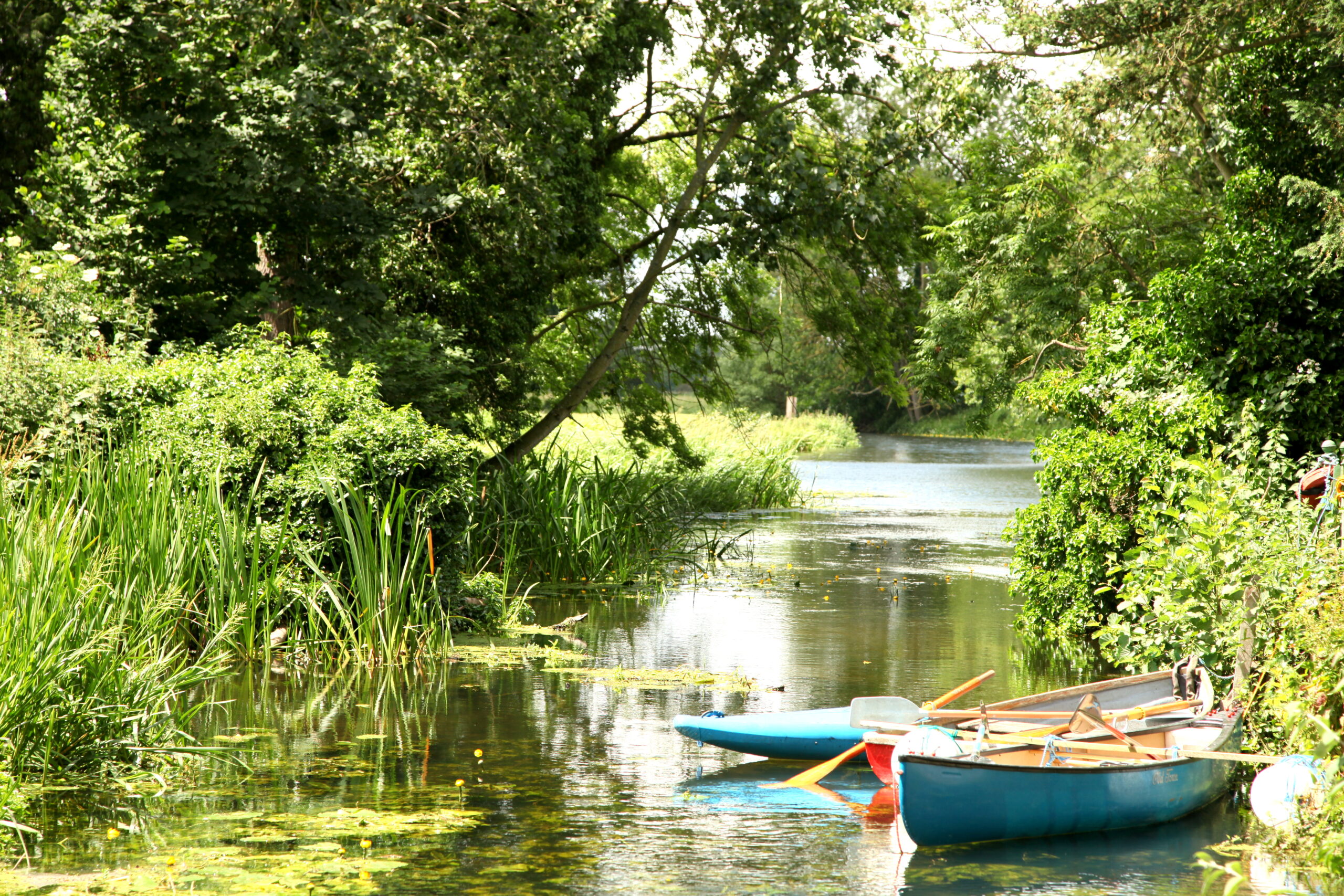 wild swimming east of england